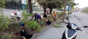 Khu phố 3 phường Hà Tu: Nhân dân tích cực tham gia vệ sinh môi trường