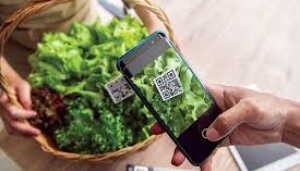 Người tiêu dùng có thể tra cứu nguồn gốc sản phẩm, hàng hóa trên Cổng thông tin truy xuất nguồn gốc sản phẩm, hàng hóa quốc gia