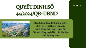 (Quyết đinh số 44/2024/QĐ-UBND) Ban hành Quy định điều kiện, diện tích tối thiểu của việc tách thửa đất, hợp thửa đất đối với từng loại đất trên địa bàn tỉnh Quảng Ninh