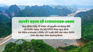 (Quyết định số 37/2024/QĐ-UBND) Quy định Giấy tờ khác về quyền sử dụng đất có trước ngày 15/10/1993 theo quy định tại điểm a khoản 1 Điều 137 Luật Đất đai năm 2024 trên địa bàn tỉnh Quảng Ninh